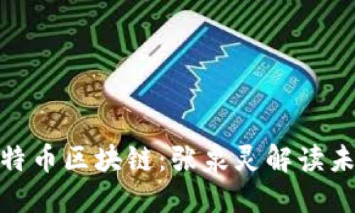 探讨比特币区块链：张泉灵解读未来趋势