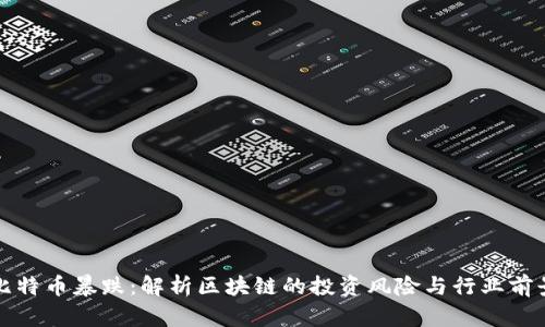 比特币暴跌：解析区块链的投资风险与行业前景