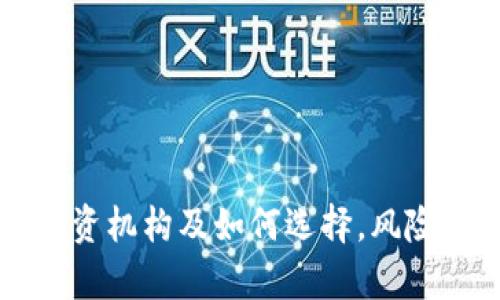 区块链币投资机构及如何选择,风险与收益分析