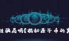 原子币是区块链骗局吗？揭秘原子币的真相和投