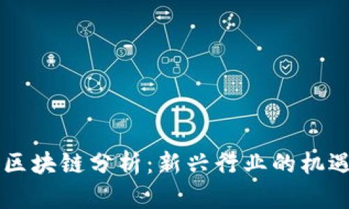 鲁比尼区块链分析：新兴行业的机遇和挑战