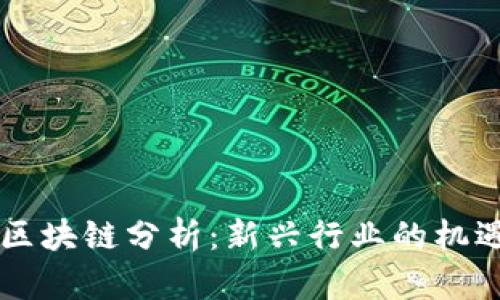 鲁比尼区块链分析：新兴行业的机遇和挑战