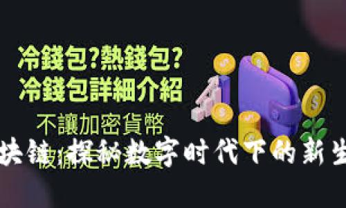 小贝壳区块链：探秘数字时代下的新生代互联网