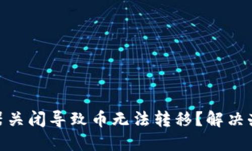 TokenIM服务器关闭导致币无法转移?解决办法请阅读本文