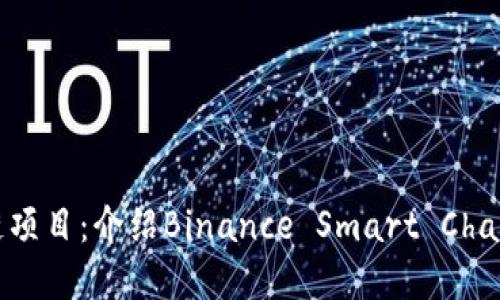 探索最新区块链项目:介绍Binance Smart Chain及其生态系统