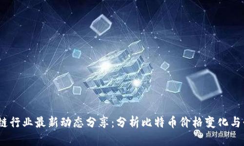 2021年区块链行业最新动态分享:分析比特币价格变化与行业发展趋势