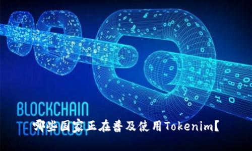 哪些国家正在普及使用Tokenim?