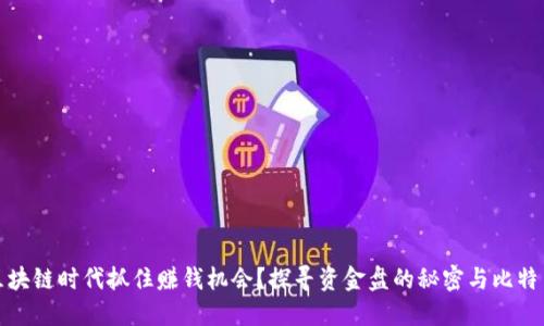 如何在区块链时代抓住赚钱机会?探寻资金盘的秘密与比特币的风光