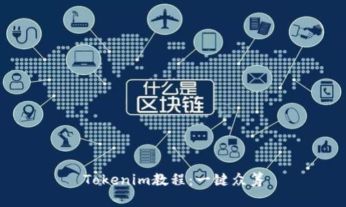 Tokenim教程:一键众筹