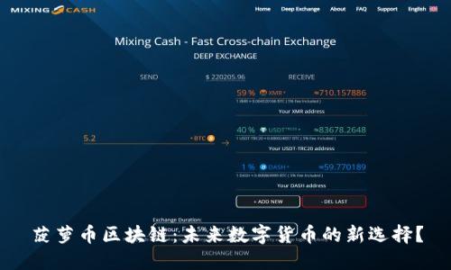 菠萝币区块链:未来数字货币的新选择?