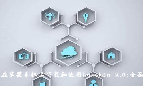 如何在苹果手机上下载和使用imToken 2.0：全面指南