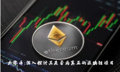 大零币：深入探讨其是否为真正的区块链项目