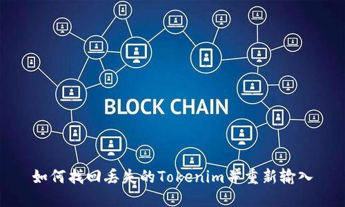 如何找回丢失的Tokenim并重新输入