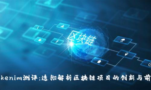 Tokenim测评：透彻解析区块链项目的创新与前景