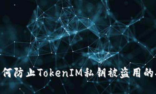 标题: 如何防止TokenIM私钥被盗用的安全措施