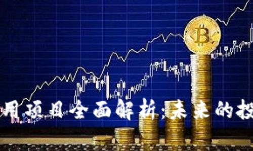 区块链币圈应用项目全面解析：未来的投资机会与挑战