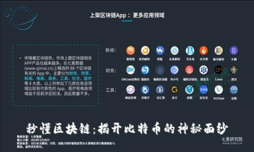 秒懂区块链：揭开比特币的神秘面纱