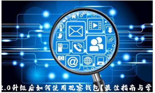 
imToken 2.0升级后如何使用观察钱包？最佳指南与常见问题解答