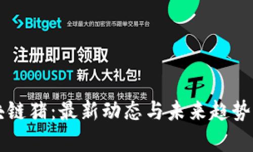 区块链猪：最新动态与未来趋势分析