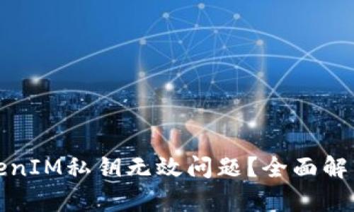 如何解决TokenIM私钥无效问题？全面解析与解决方案