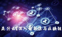玩客币是什么？深入解析其与区块链的关系