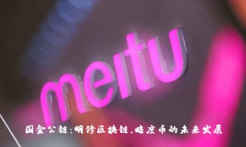 国金公链：明修区块链，暗度币的未来发展