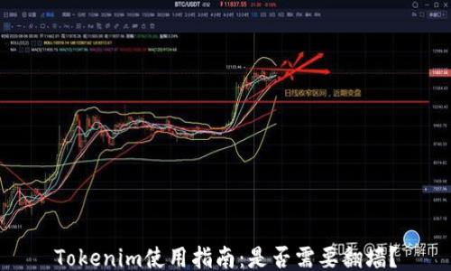 
Tokenim使用指南：是否需要翻墙？