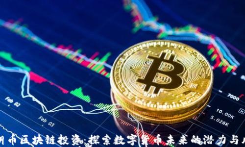 
瑞朗币区块链投资：探索数字货币未来的潜力与风险