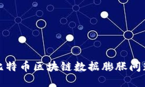 深入探讨比特币区块链数据膨胀问题及其影响