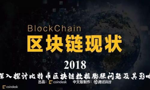 深入探讨比特币区块链数据膨胀问题及其影响