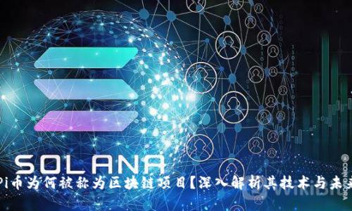 Pi币为何被称为区块链项目？深入解析其技术与未来