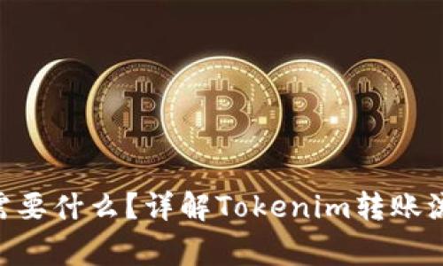 Tokenim转账需要什么？详解Tokenim转账流程及注意事项