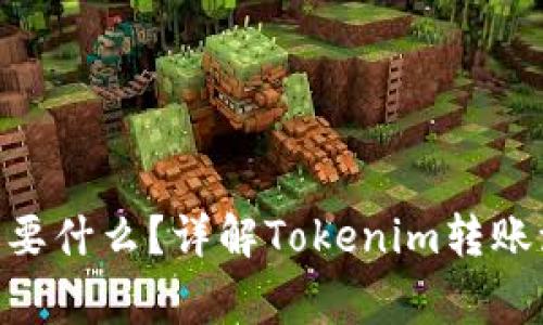 Tokenim转账需要什么？详解Tokenim转账流程及注意事项