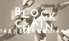 区块链SIT币是什么？深入解析SIT币的特点与应用