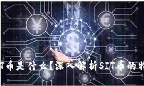 区块链SIT币是什么？深入解析SIT币的特点与应用