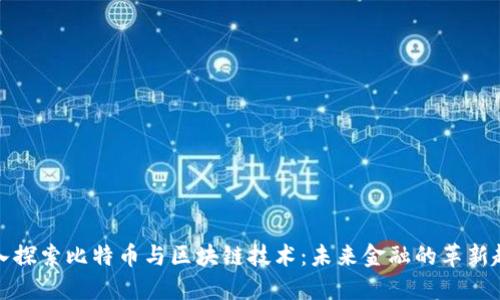 深入探索比特币与区块链技术：未来金融的革新趋势