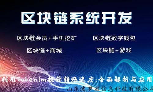 如何利用Tokenim提升转账速度：全面解析与应用实例