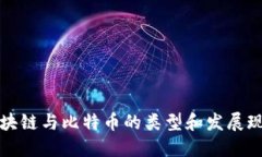 区块链与比特币的类型和发展现状