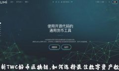 深入解析TWC好币区块链，如何选择最佳数字资产