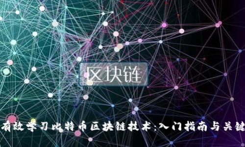 如何有效学习比特币区块链技术：入门指南与关键资源