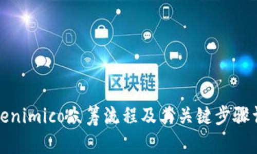Tokenimico众筹流程及其关键步骤详解