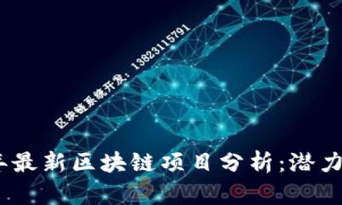 2023年最新区块链项目分析：潜力与风险