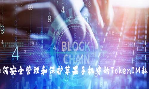 如何安全管理和保护苹果手机中的TokenIM私钥