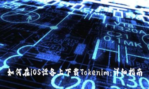 如何在iOS设备上下载Tokenim：详细指南
