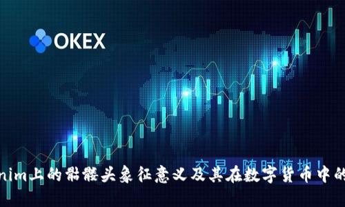Tokenim上的骷髅头象征意义及其在数字货币中的影响