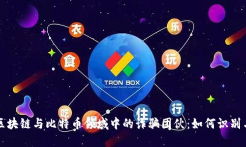 揭露区块链与比特币领域中的诈骗团伙：如何识别与防范