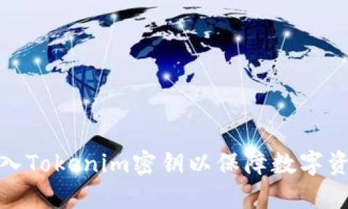 如何导入Tokenim密钥以保障数字资产安全