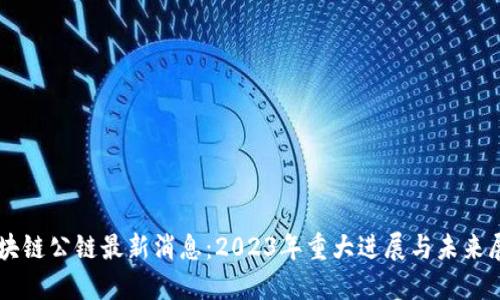 区块链公链最新消息：2023年重大进展与未来展望