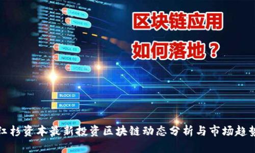 红杉资本最新投资区块链动态分析与市场趋势