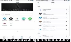   霍尔币区块链技术：颠覆性创新与未来趋势